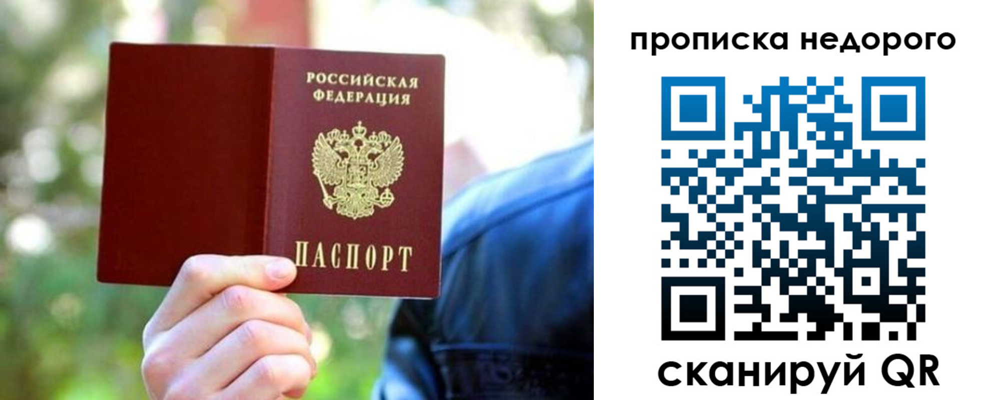 прописка в квартире в Ермолино